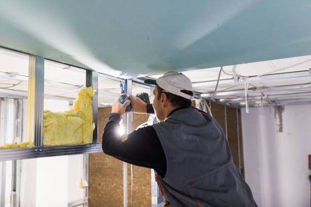 Best Insulation Inspection Services  in Chagrin Falls, OH