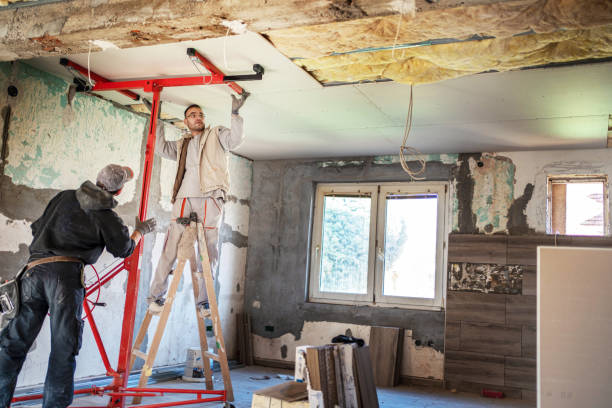 Best Insulation for New Construction  in Chagrin Falls, OH